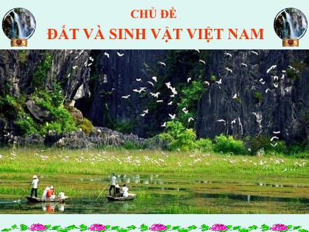 Bài giảng Địa lí Lớp 8 - Tiết 42+43, Bài 36: Đặc điểm đất. Sinh vật Việt Nam