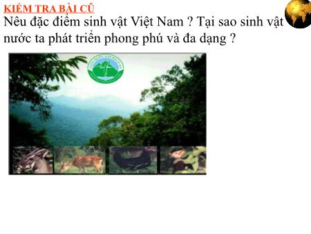Bài giảng Địa lí Lớp 8 - Tiết 44, Bài 38: Bảo vệ tài nguyên sinh vật Việt Nam