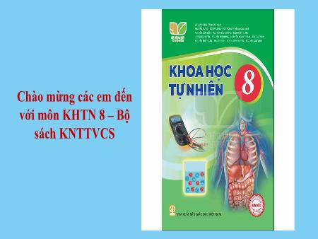 Bài giảng Khoa học tự nhiên Lớp 8 Sách Kết nối tri thức - Bài 31: Hệ vận động ở người - Trường THCS Mỹ Phúc