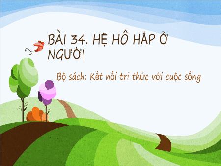 Bài giảng Khoa học tự nhiên Lớp 8 Sách Kết nối tri thức - Bài 34: Hệ hô hấp ở người - Trường THCS Tân Thành