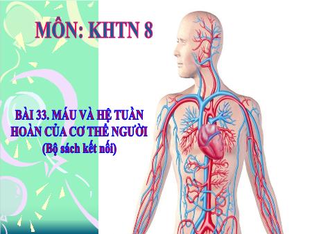 Bài giảng Khoa học tự nhiên Lớp 8 Sách Kết nối tri thức - Bài 33: Máu và hệ tuần hoàn của cơ thể người - Trường THCS Tân Thành
