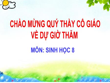 Bài giảng Sinh học Lớp 8 - Bài 20: Hô hấp và các cơ quan hô hấp