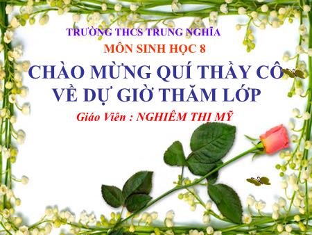 Bài giảng Sinh học Lớp 8 - Bài 24: Tiêu hóa và các cơ quan tiêu hóa - Nghiêm Thị Mỹ - Trường THCS Trung Nghĩa
