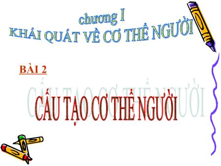 Bài giảng Sinh học Lớp 8 - Chương 1: Khái quát về cơ thể người - Bài 2: Cấu tạo cơ thể người