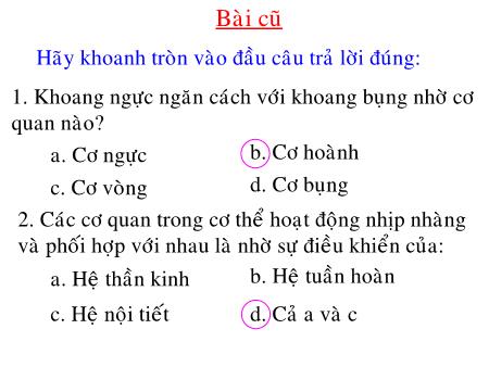 Bài giảng Sinh học Lớp 8 - Tiết 3, Bài 3: Tế bào
