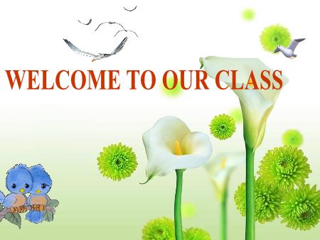 Bài giảng Tiếng Anh Lớp 8 Global Success - Unit 1: Leisure time - Lesson 2: A closer look 1