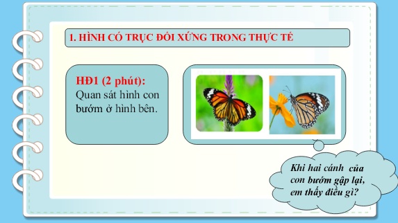 Bài giảng Toán Lớp 8 Sách Kết nối tri thức - Hình có trục đối xứng - Trường THCS Mỹ Hưng
